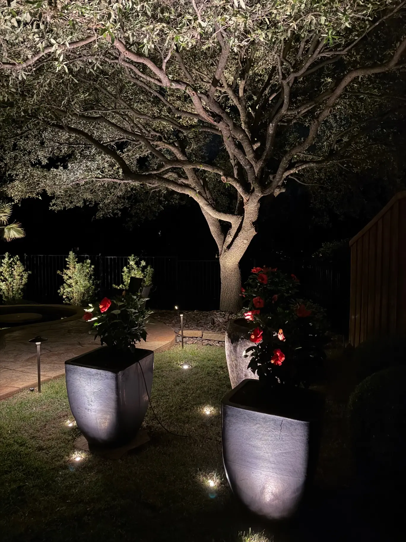 Illuminated planters and in-ground uplights in a garden bed