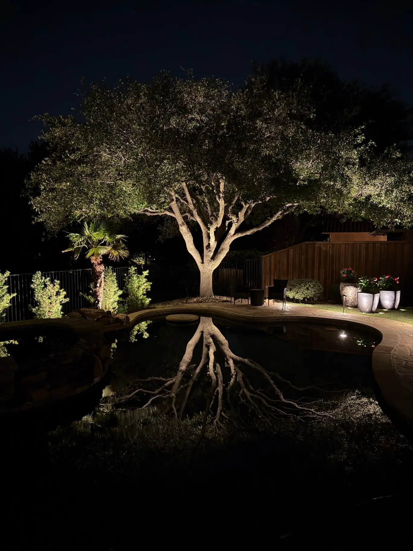 Backyard pool with lit oak tree reflecting on the water